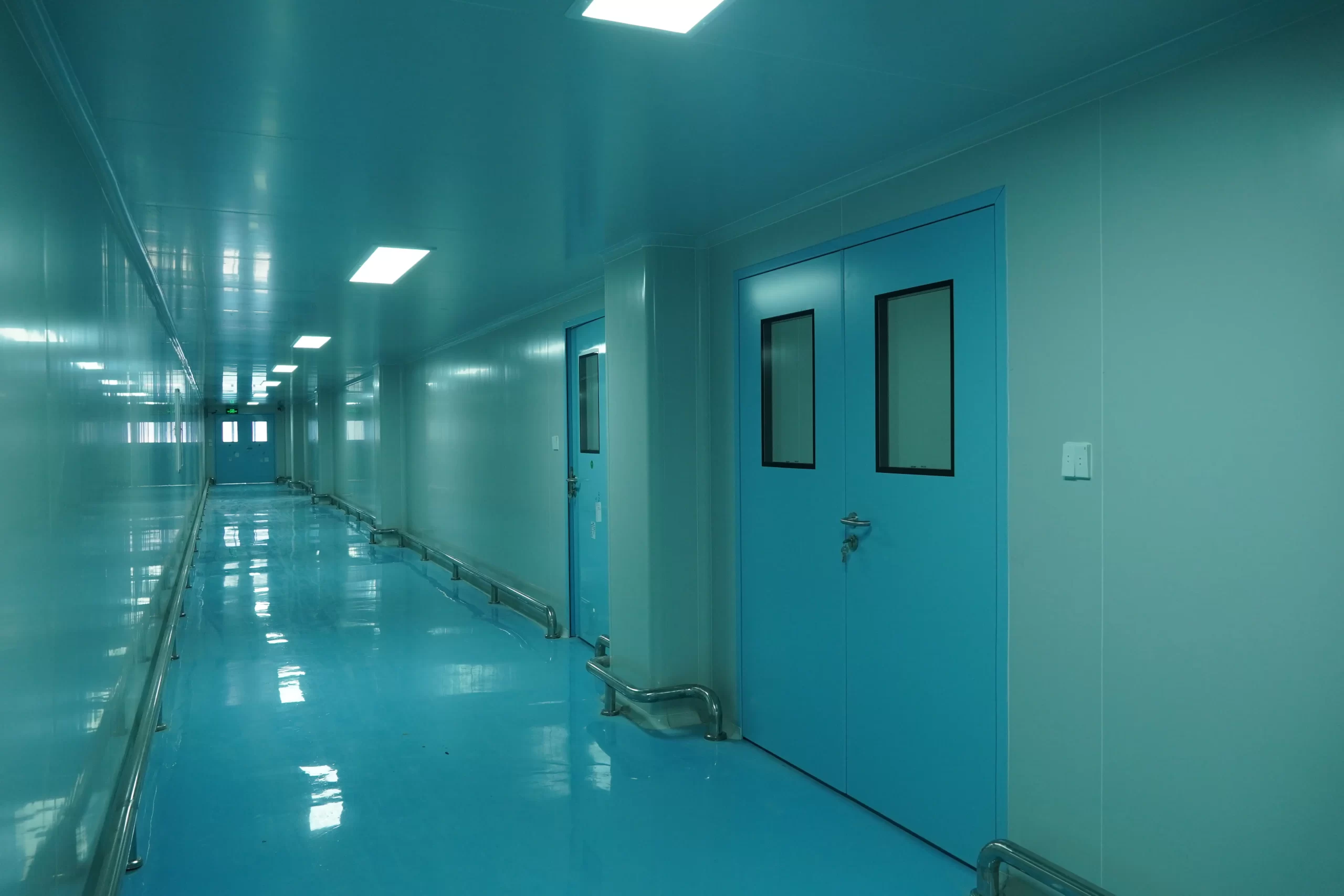 Displays a cleanroom corridor environment. Blue cleanroom doors are installed on both sides. The floor, walls, and ceiling feature clean - finish designs, presenting the overall cleanroom space and the application scenario of cleanroom doors.